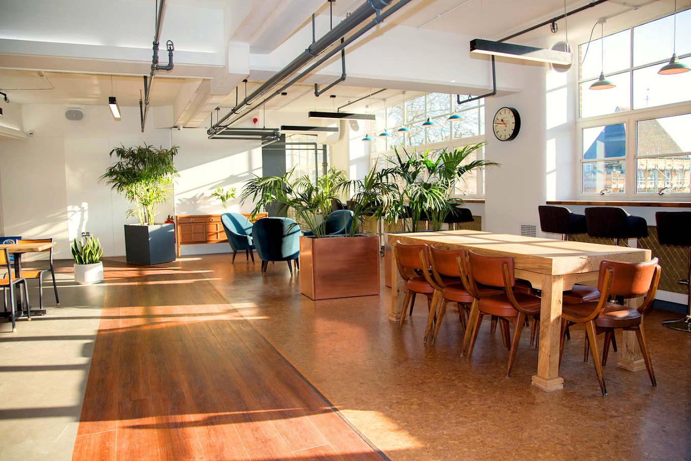 Bright open-plan office lounge with plants and a shared table